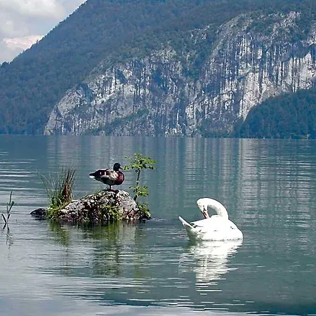 Leitner Am Wolfgangsee