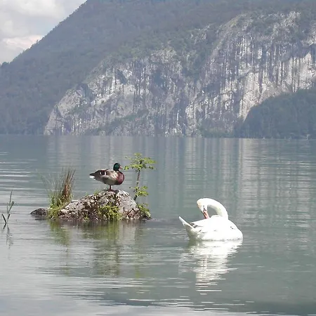 Leitner Am Wolfgangsee Апарт-отель Санкт Гильген
